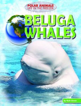 Library Binding Beluga Whales Book