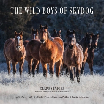 Hardcover The Wild Boys of Skydog Book