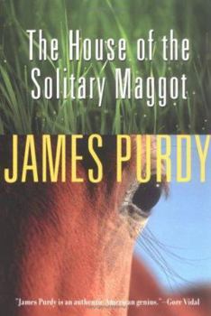 Paperback The House of the Solitary Maggot Book