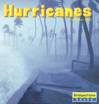 Library Binding Hurricanes Book