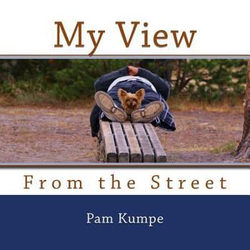 Paperback My View from the Street Book