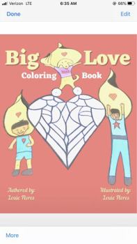 Paperback Big Love Book