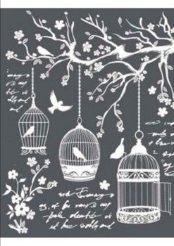 Paperback 4.950 dias [Spanish] Book