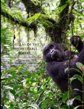 Paperback Gorillas of the Impenetrable Forest: The Mountain Gorillas of Bwindi Book