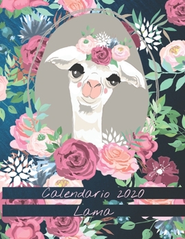 Paperback Calendario 2020 Lama: Mensile 2020 Calendario Lama illustrato con grandi immagini e date del calendario, spazi per registrare entrate, uscit [Italian] Book