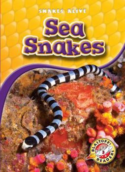 Sea Snakes (Paperback) - Book  of the Snakes Alive