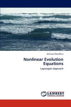 Paperback Nonlinear Evolution Equations Book