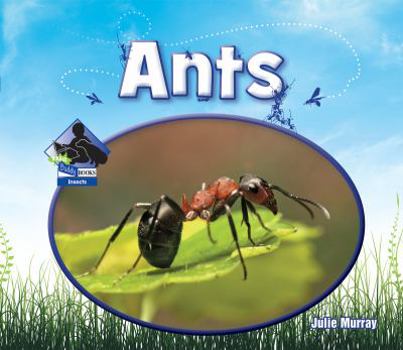 Ants - Book  of the Animal Kingdom