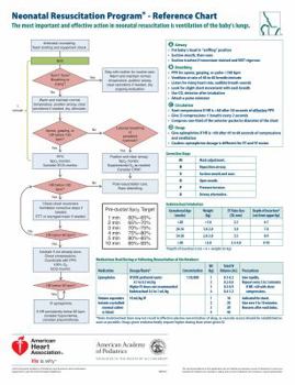 NRP Wall Chart