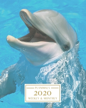 2020: Weekly and Monthly Planner/Calendar Jan 2020 – Dec 2020 Cute Dolphin