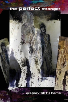 Paperback The Perfect Stranger Book