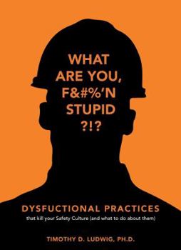 Paperback Dysfunctional Practices: that kill your Safety Culture (and what to do about them) Book