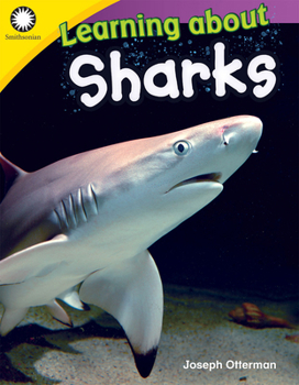 Paperback Learning about Sharks Book