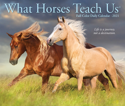 Calendar What Horses Teach Us 2021 Box Calendar Book