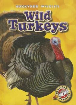 Library Binding Wild Turkeys Book