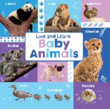 Hardcover Baby Animals - Kids Books - Childrens Books - Toddler Books by Page Publications Book