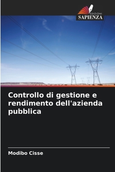 Controllo di gestione e rendimento dell'azienda pubblica (Italian Edition)