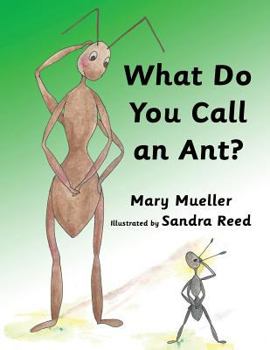 Paperback What Do You Call An Ant Book