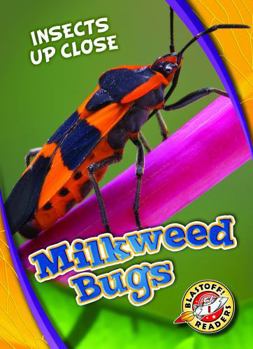 Milkweed Bugs - Book  of the Insects Up Close