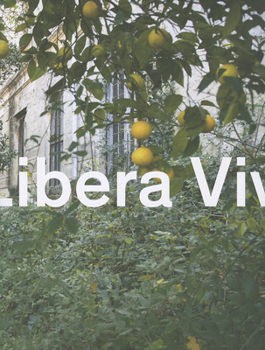 Paperback Elisabeth Hölzl: Libera Viva Book