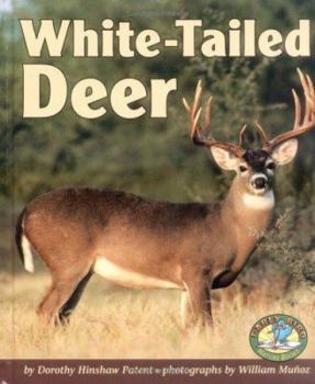 Library Binding White-Tailed Deer Book