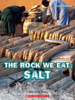 Library Binding The Rock We Eat: Salt Book