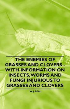 Paperback The Enemies of Grasses and Clovers - With Information on Insects, Worms and Fungi Injurious to Grasses and Clovers Book