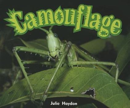 Paperback Camouflage Book