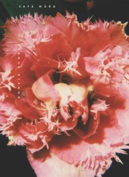 Paperback Safe Word Book