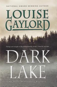 Hardcover Dark Lake Book