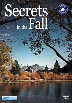 DVD Secrets in the Fall Book