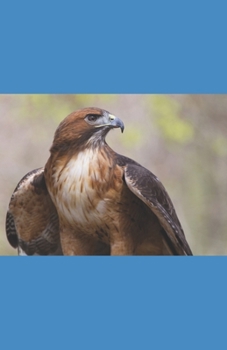 Paperback A Hawk's Journey Book