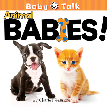 Board book Animal Babies! Book