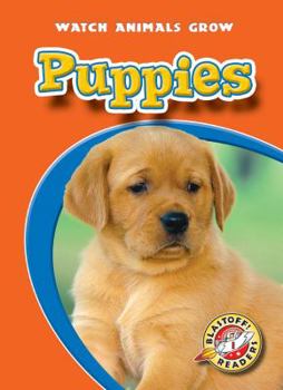 Puppies - Book  of the Watch Animals Grow