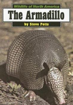 Paperback The Armadillo Book