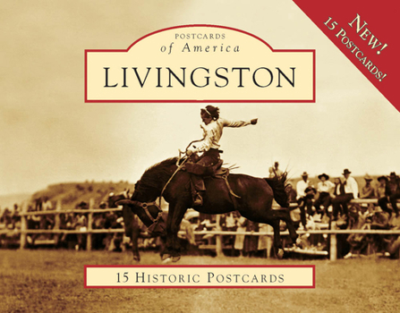 Ring-bound Livingston: 15 Historic Postcards Book