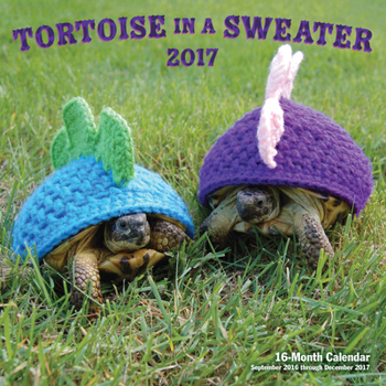 Tortoise in a Sweater 2017 : 16-Month Calendar September 2016 Through December 2017