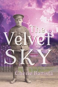Paperback The Velvet Sky Book