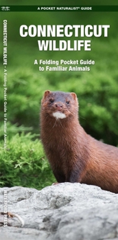 Paperback Connecticut Wildlife: A Folding Pocket Guide to Familiar Animals Book