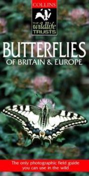 Paperback Butterflies of Brit & Europe - Wt Guide Book