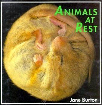 Library Binding Animals at Rest, Burton 2-4l Book