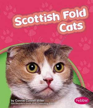 Hardcover Scottish Fold Cats Book