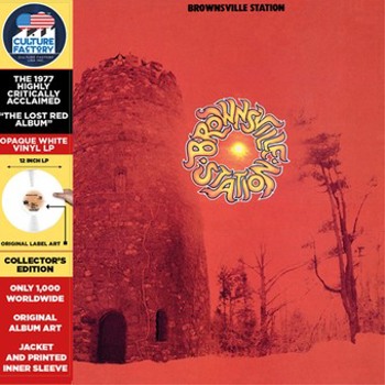 Vinyl Brownsville Station Book