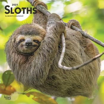 Calendar Sloths 2021 Square Book