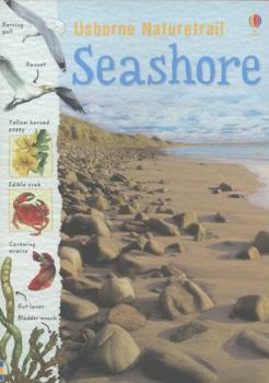 Paperback Seashore (Spotter's Sticker Books) Book