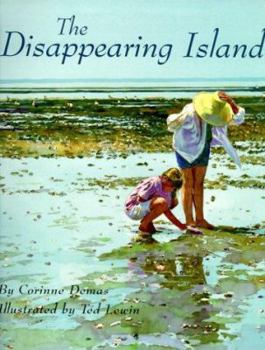 Library Binding The Disappearing Island Book