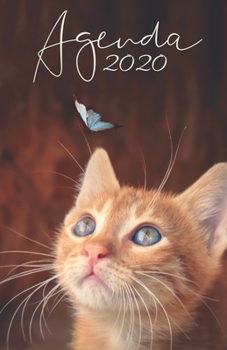 Agenda 2020: 12 mois de Janvier à Décembre 2020 | Planificateur, organisateur, semainier | Photo de chaton 3 (French Edition)