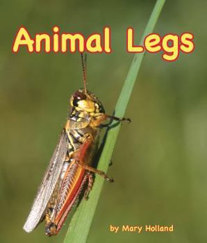 Hardcover Animal Legs Book