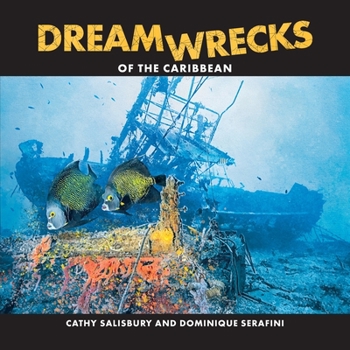 Paperback DreamWrecks of the Caribbean: Diving the best shipwrecks of the region Book