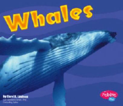 Hardcover Whales Book